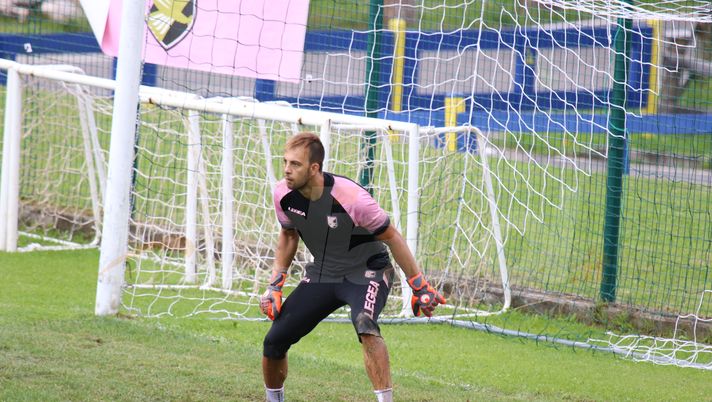 Tedino: “Brignoli grande colpo, mi piacerebbe averlo subito. Mercato? Non mi compete, ma…” 