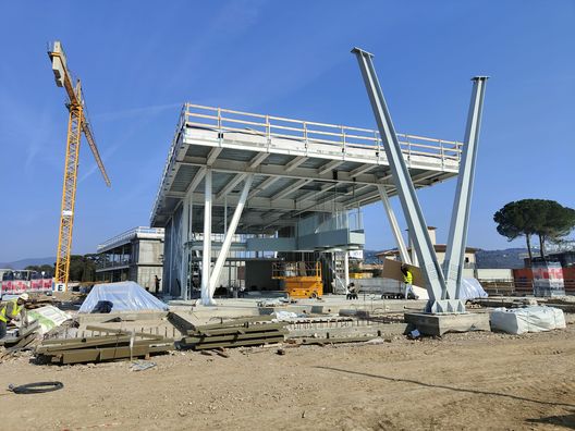 Viola Park ecco i motivi dei ritardi, dall’architetto al numero di operai- immagine 2