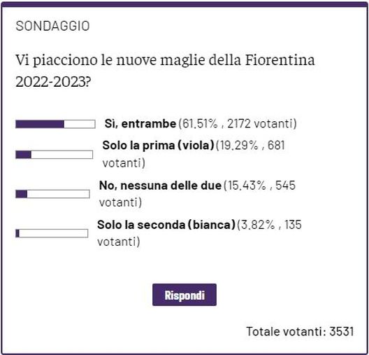 SONDAGGIO VN – Le nuove maglie di ACF piacciono, soprattutto la prima- immagine 2