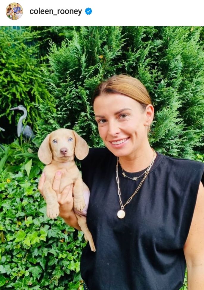 Come adattarsi a Manchester: la moglie di Wayne Rooney aiuta Georgina Rodriguez- immagine 2