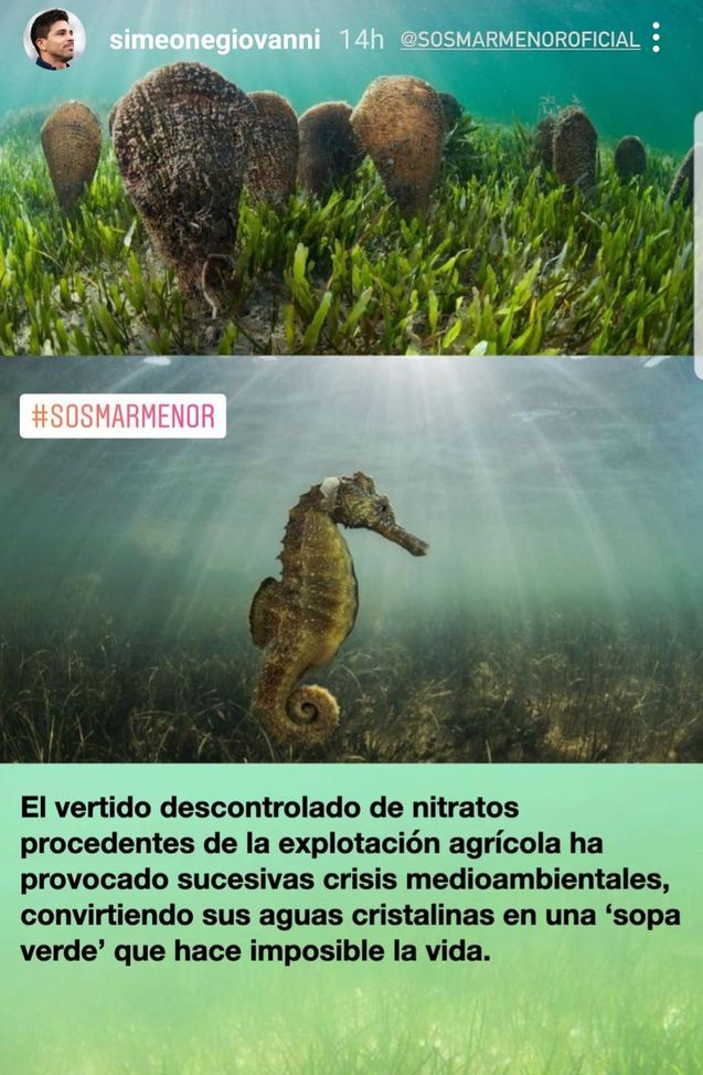 Simeone ambientalista: “Difendiamo il Mediterraneo”- immagine 2