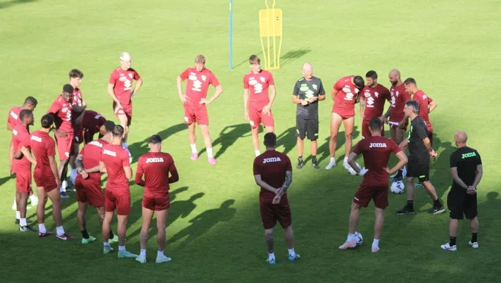 Toro-Palermo: probabili formazioni, ultime news e dove vederla in tv e streaming - immagine 1