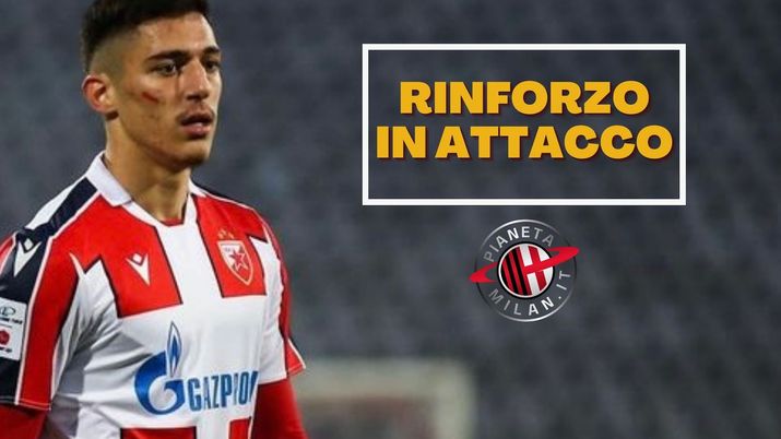 Marko Lazetic Stella Rossa Calciomercato AC Milan