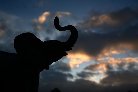 (Getty Images) (Getty Images)