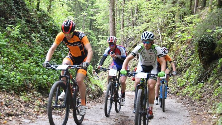 Foto di Giovanni CELEGHIN Foto di Giovanni CELEGHIN