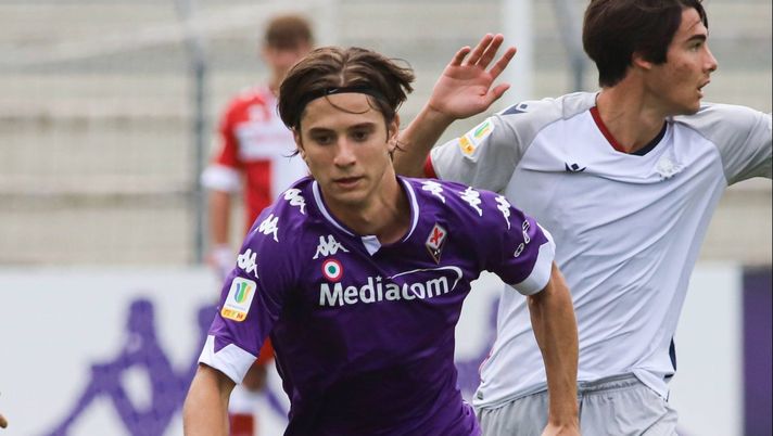 GERMOGLI PH: 19 SETTEMBRE 2020 