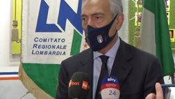 Gravina: “Salernitana? Regola che esiste dal 2013. Senza cessione non potrà iscriversi”