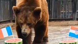 VIDEO / Mondiali, chi vince tra Francia e Croazia? L’orso russo ha fatto la sua scelta