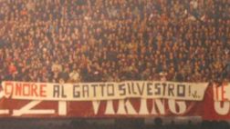 Onore al Gatto Silvestro