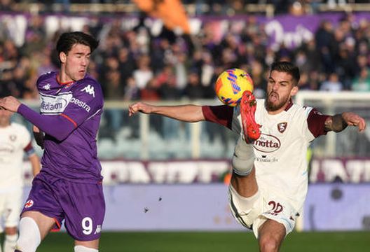 Salernitana's defender Luka Bogdan (R) and Fiorentina's forward Dusan Vlahovic in action during the Italian serie A soccer match between ACF Fiorentina vs US Salernitana at Artemio Franchi Stadium in Florence, Italy, 11 December 2021. ANSA/CLAUDIO GIOVANNINI Salernitana