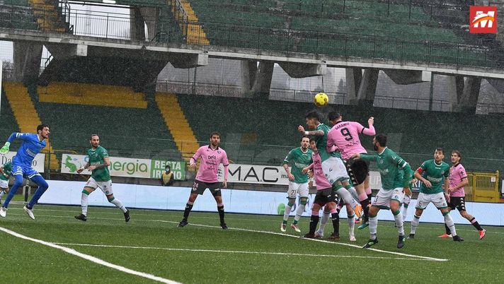 Avellino, Silvestri: “Juve Stabia? Potevamo vincerla. Di Gaudio ci darà una mano”  Avellino, Silvestri: “Juve Stabia? Potevamo vincerla. Di Gaudio ci darà una mano”