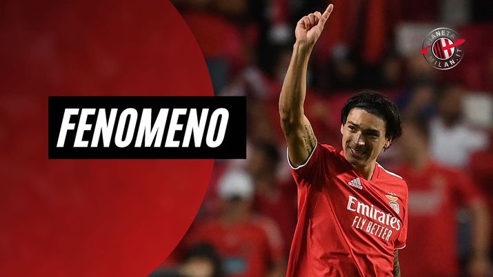 Darwin Nunez Benfica Calciomercato AC Milan