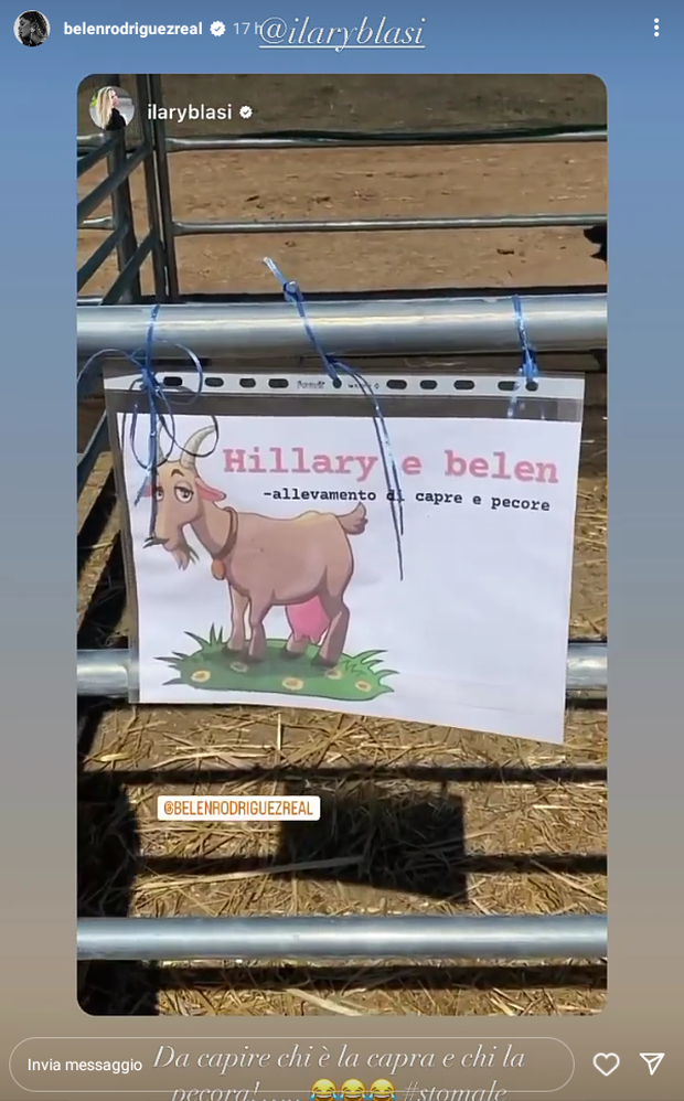 Belen, ironia social con Ilary Blasi: “Capra e pecora? Da capire…”  Belen, ironia social con Ilary Blasi: “Capra e pecora? Da capire…” - immagine 1