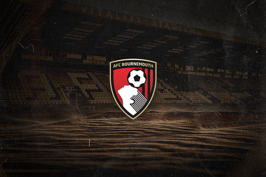 Le proprietà della Premier League, tutti americani: anche il Bournemouth…- immagine 2