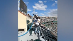 VIDEO / Libera il campo dalle api a mani nude: l’eroe di Indian Wells